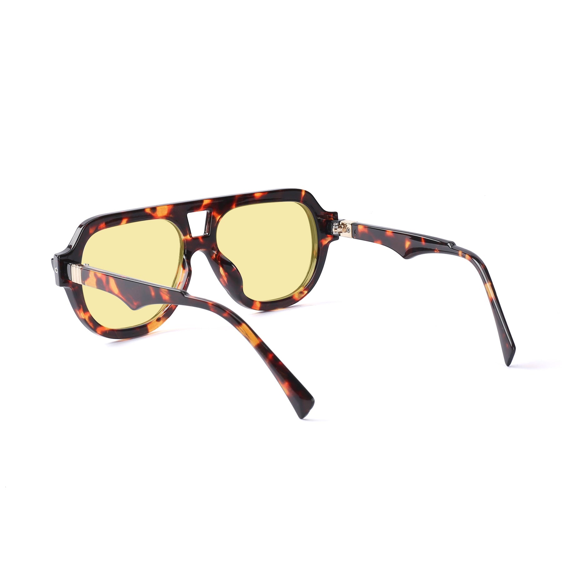 #color_tortoise